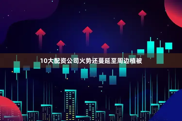 10大配资公司火势还蔓延至周边植被