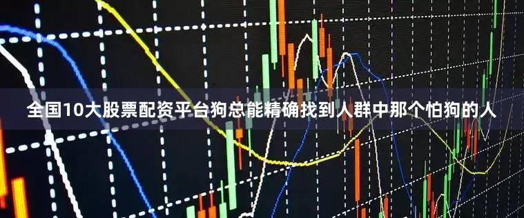 全国10大股票配资平台狗总能精确找到人群中那个怕狗的人