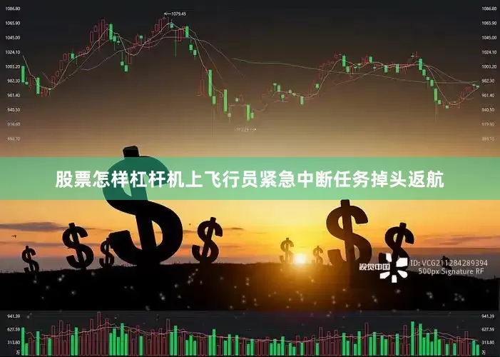 股票怎样杠杆机上飞行员紧急中断任务掉头返航